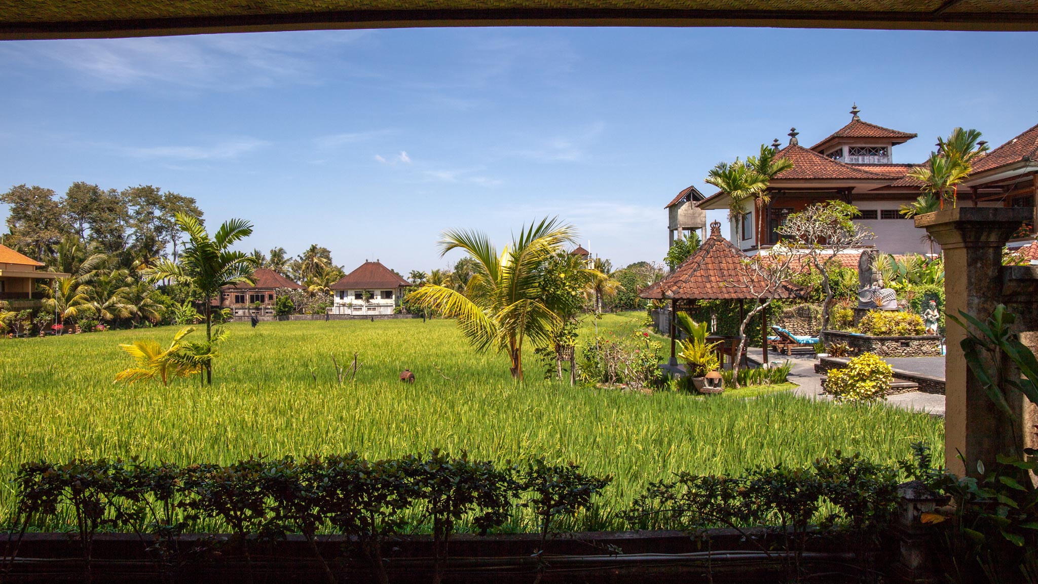 Ubud hotel guide