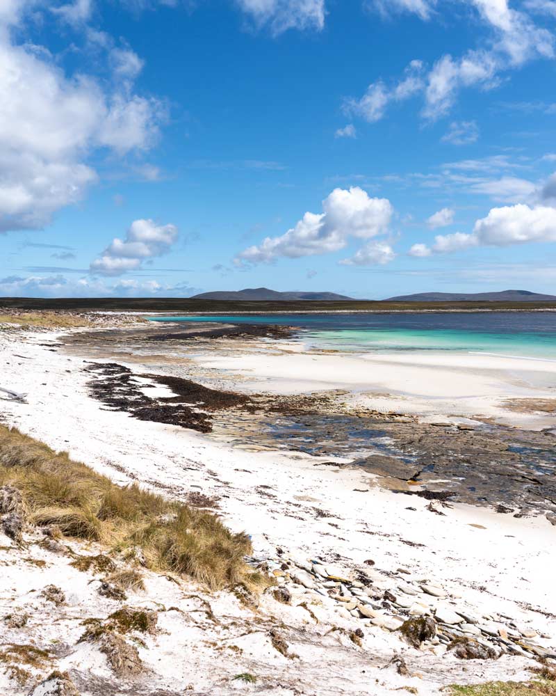 Another empty beach on Weddell Island - population two!