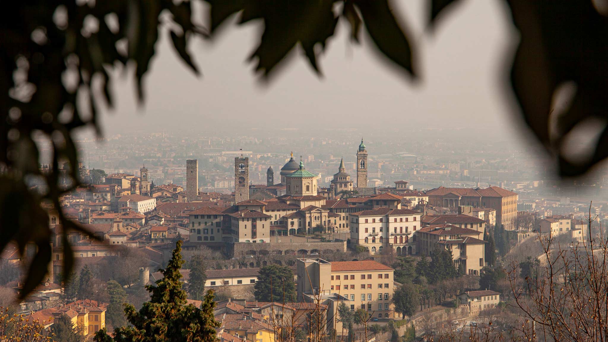 The higher part of Bergamo as seen from afar at sunset, framed by a tree