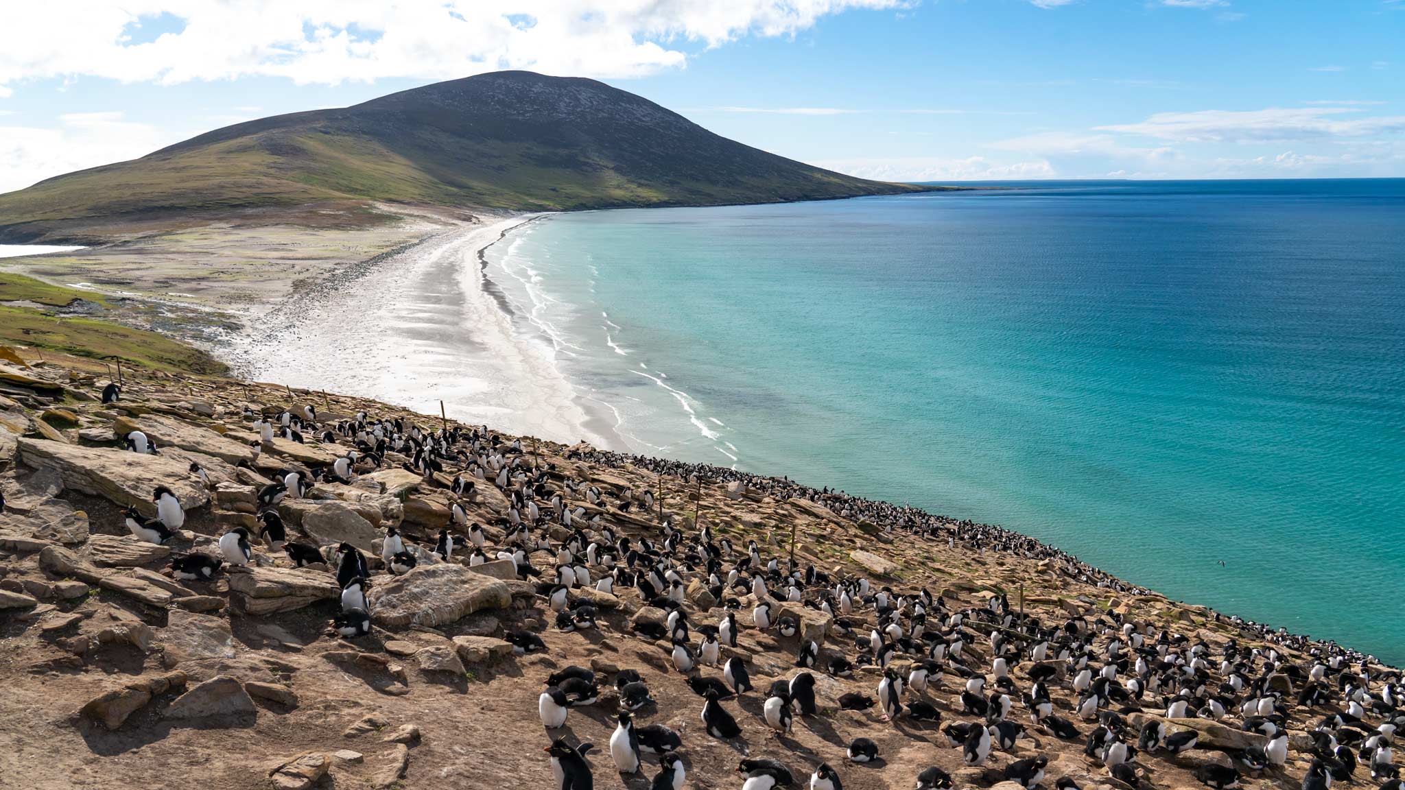 The Falkland Islands