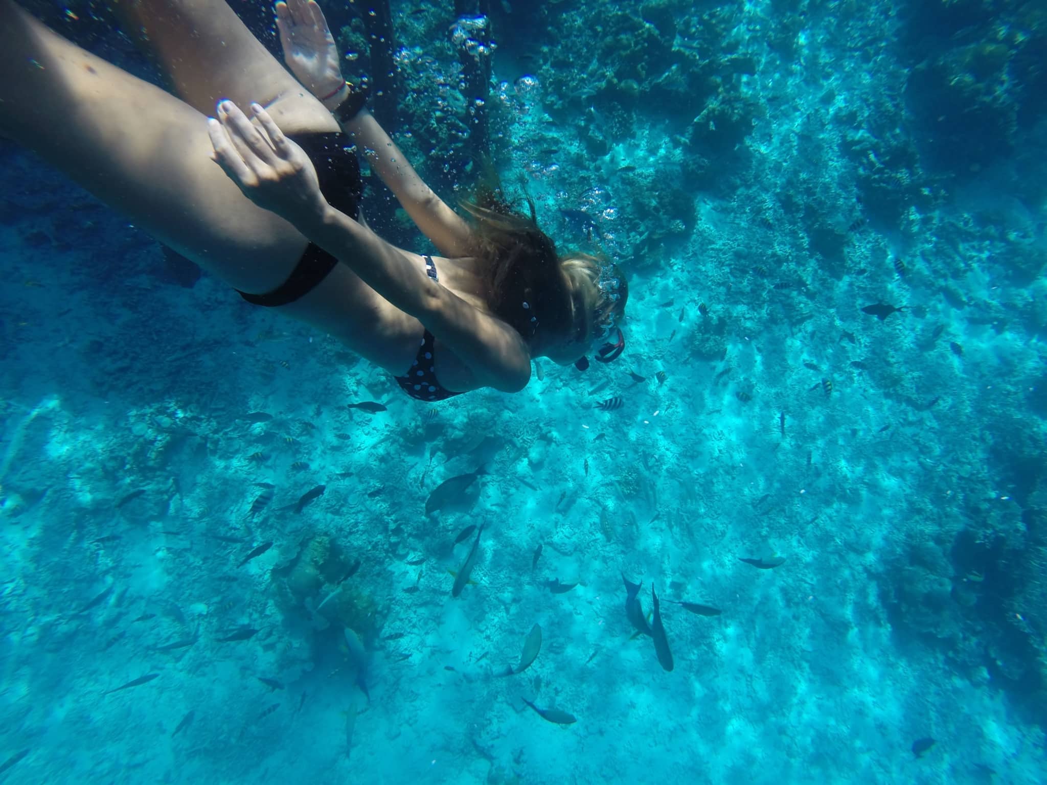 Raja Ampat Underwater