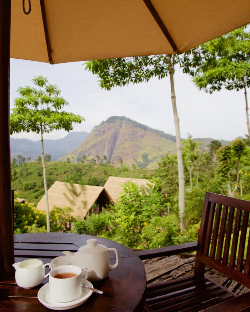 sri lanka tea plantations