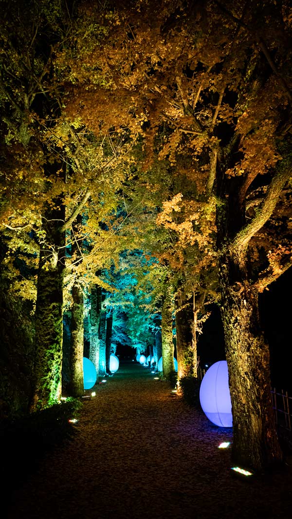 The corridor of light at teamLab Kōchi castle