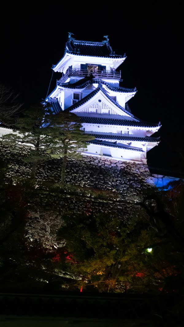 Kōchi castle stands above all the art work