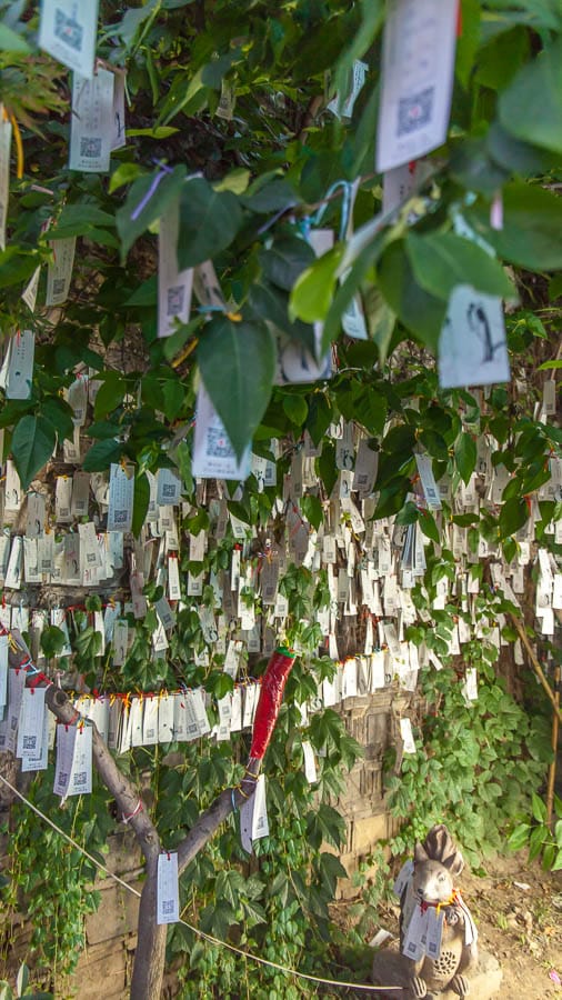 Prayer Flags Suzhou