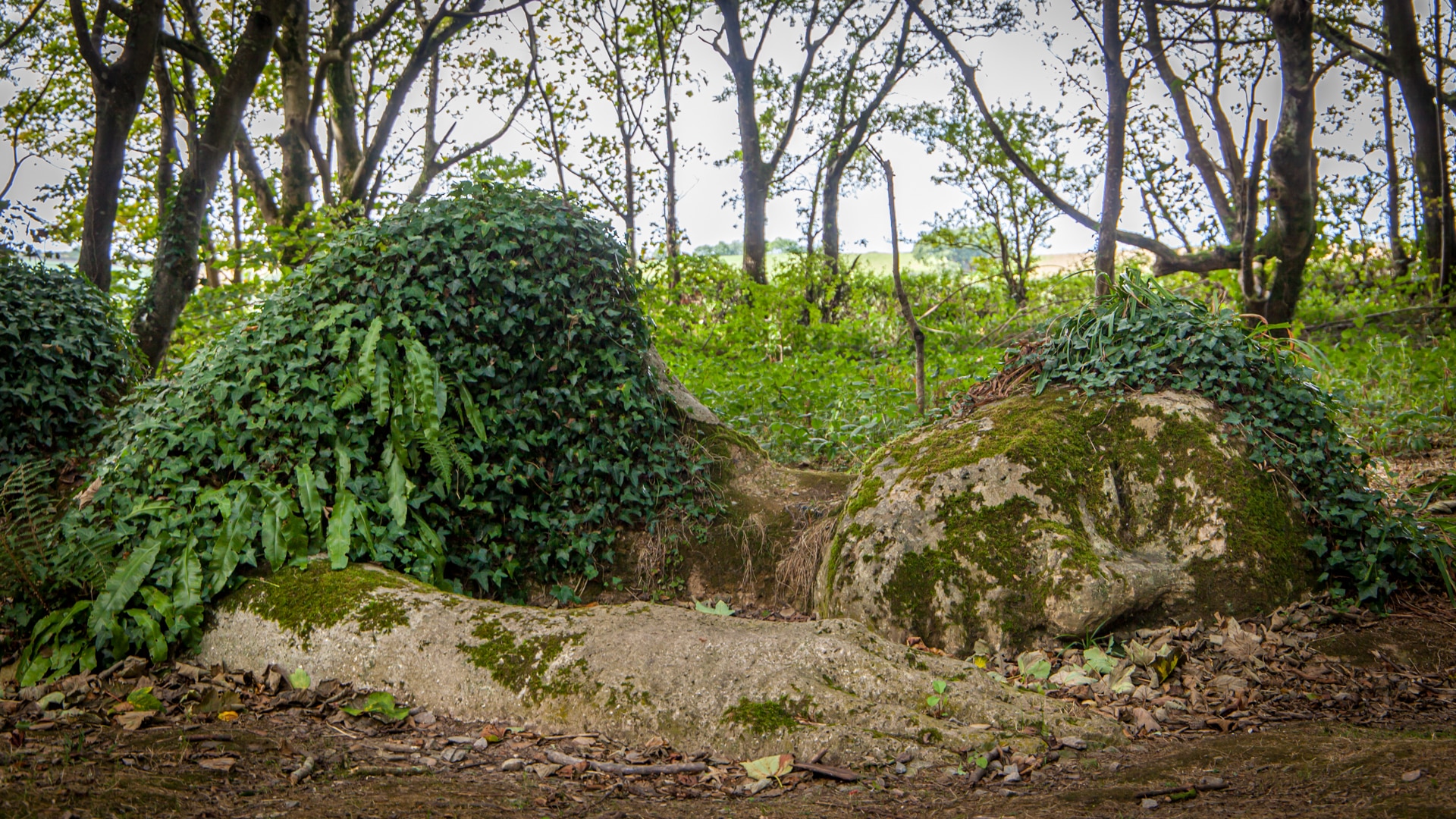 The Lost Gardens of Helligan are one of the best places to visit in Cornwall