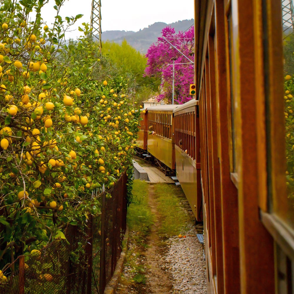 Soller Mallorca