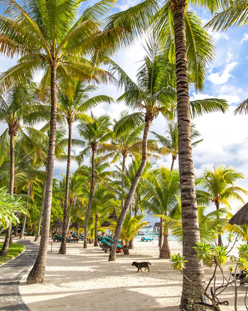 Mauritius Beaches