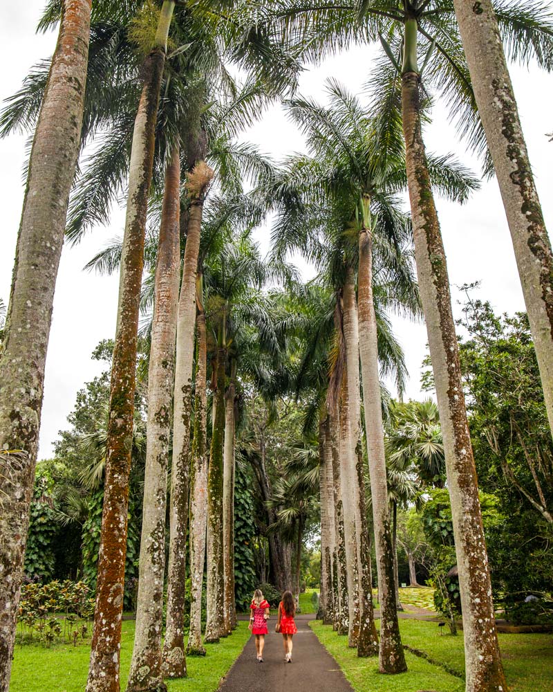 Mauritius Botanic Gardens