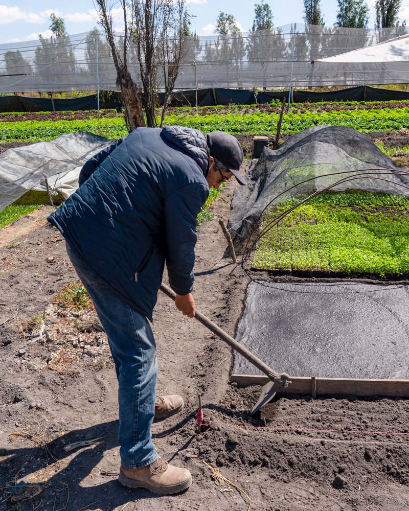 David, a chinampero, guides us through the farming method