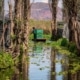 chinampas mexico city