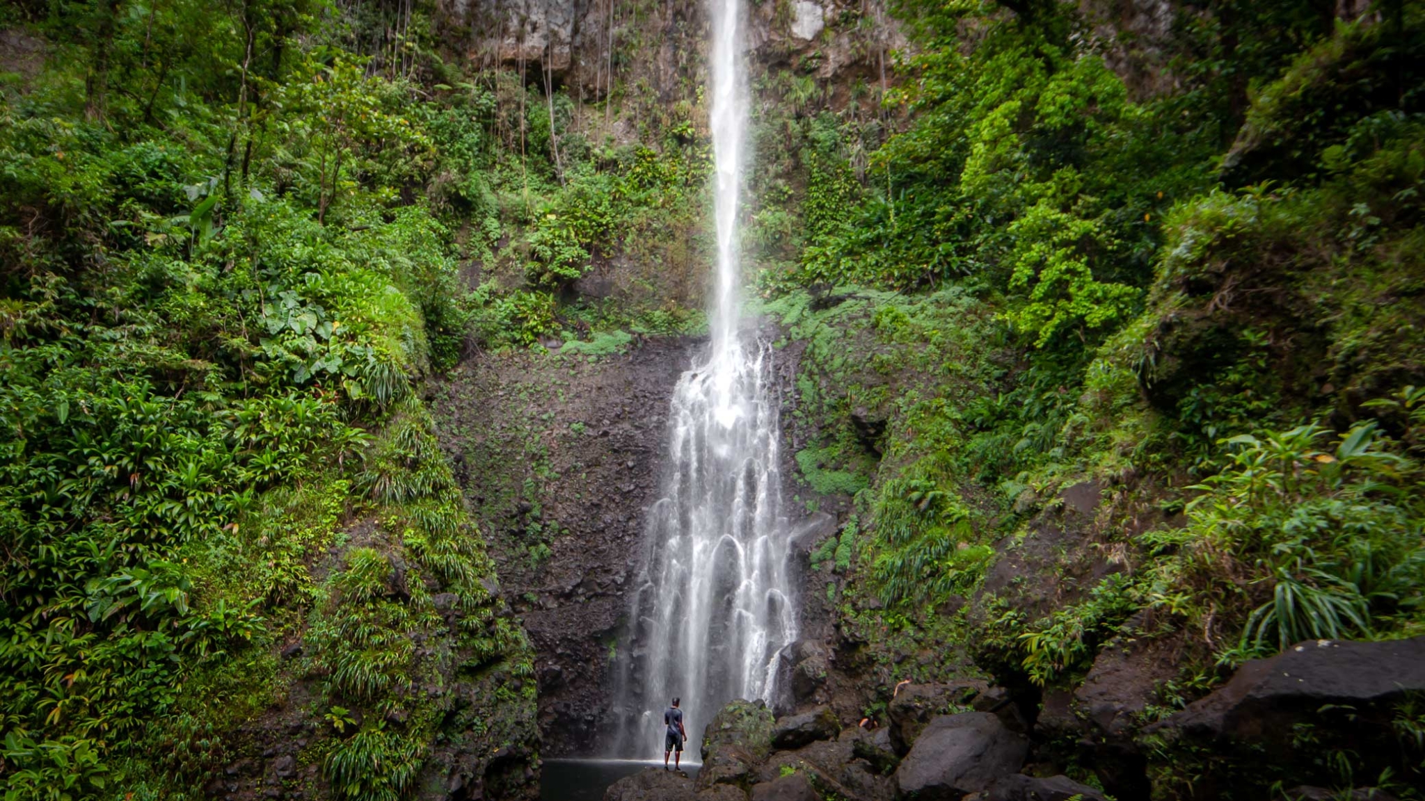 Dominica