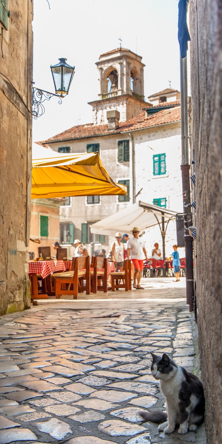 Kotor Old Town