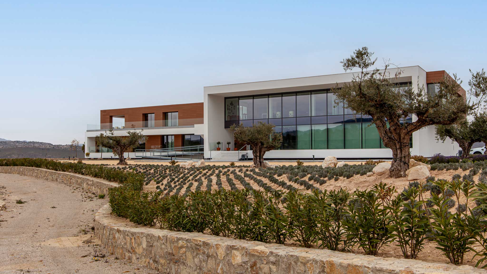 Casa Rojo Winery in Jumilla