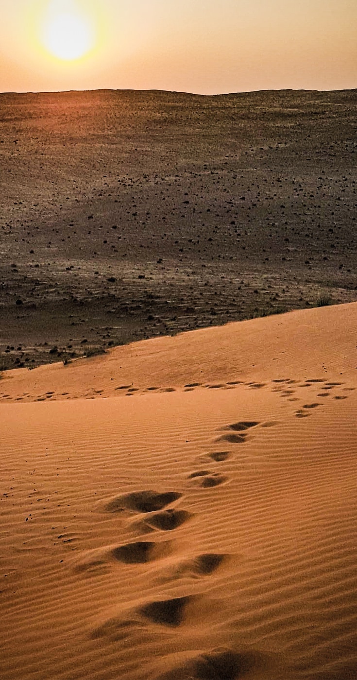 Oman Travel Video Desert