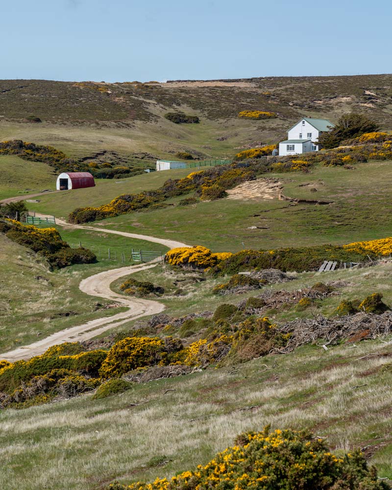 A farm on Roy Cove