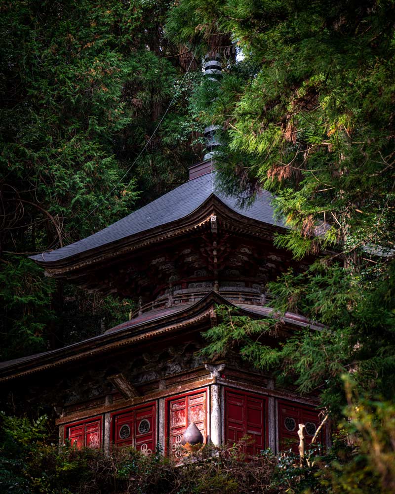 A red temple being retaken by nature in Sado Japan