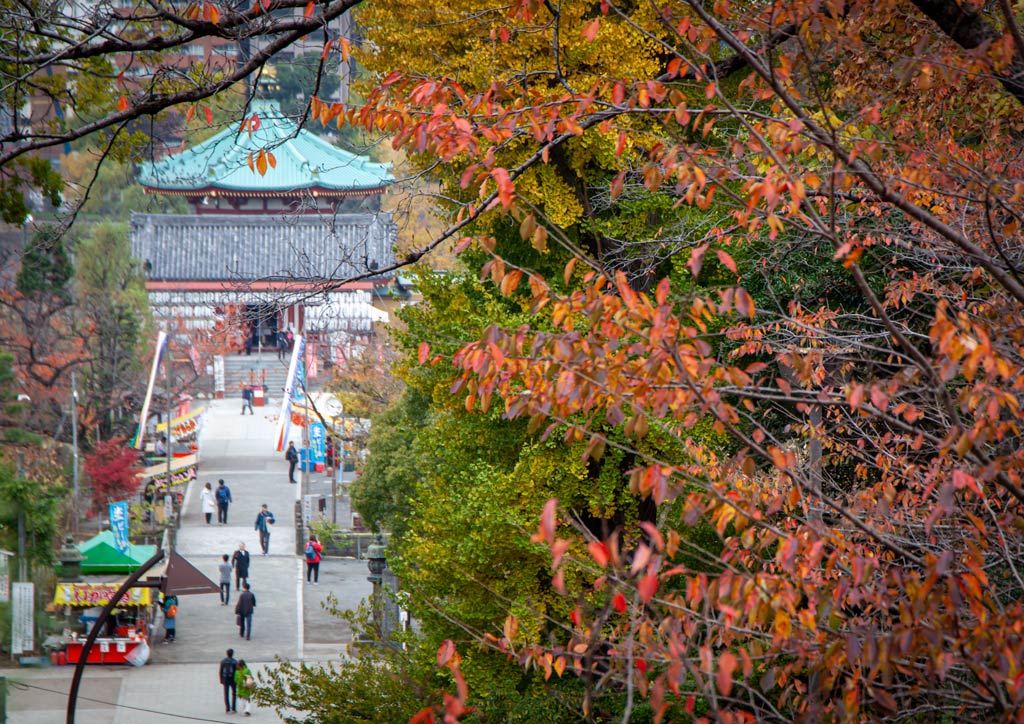 Exploring the parks in Shinjuku