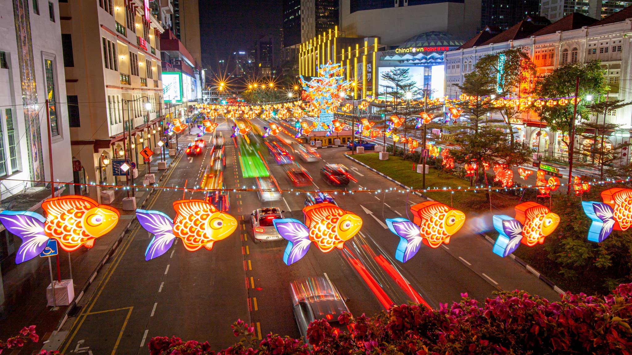 Colourful illuminated Chinese fish in Chinatown