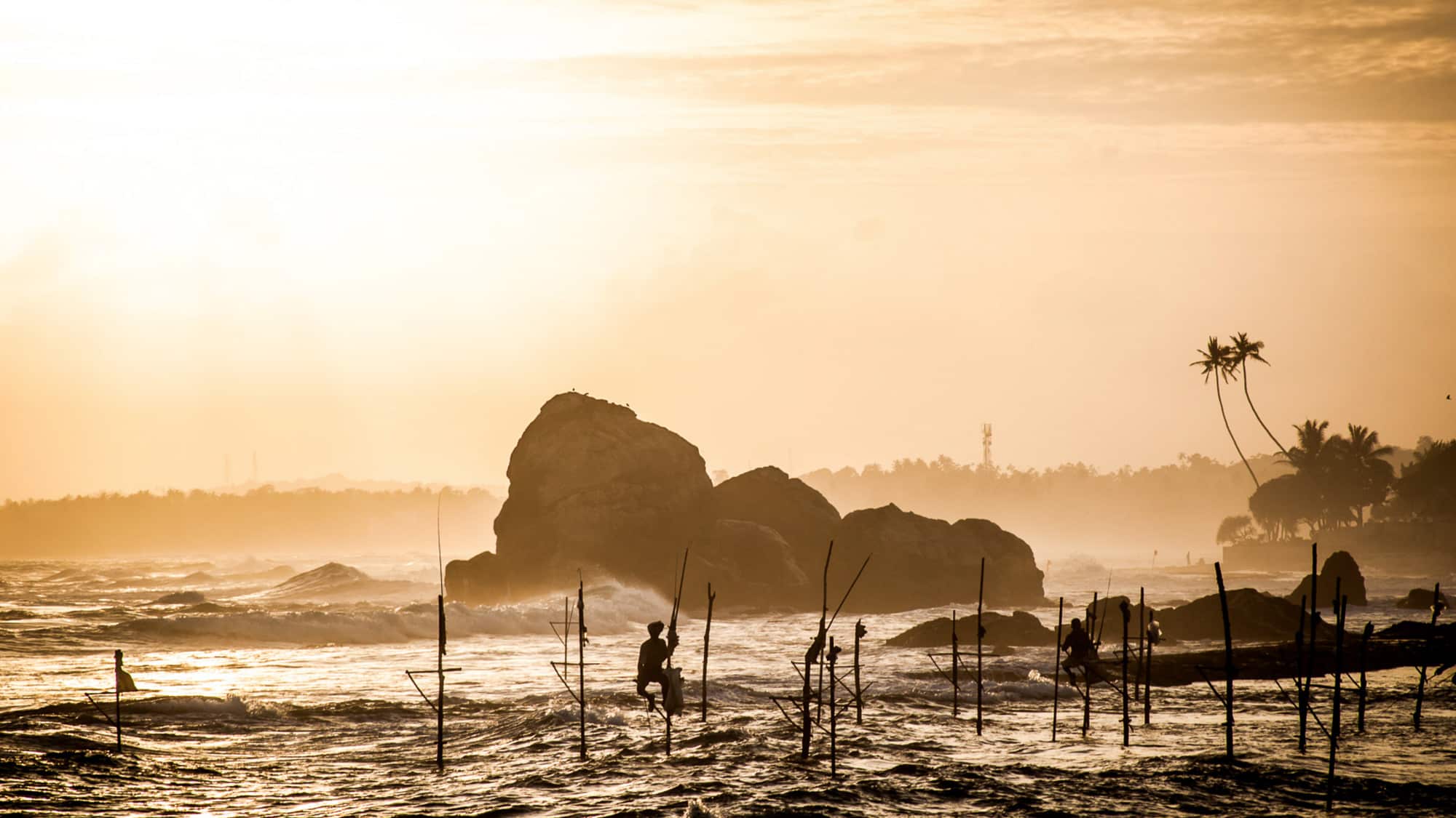 Stilt Fishermen Sunset Sri Lanka