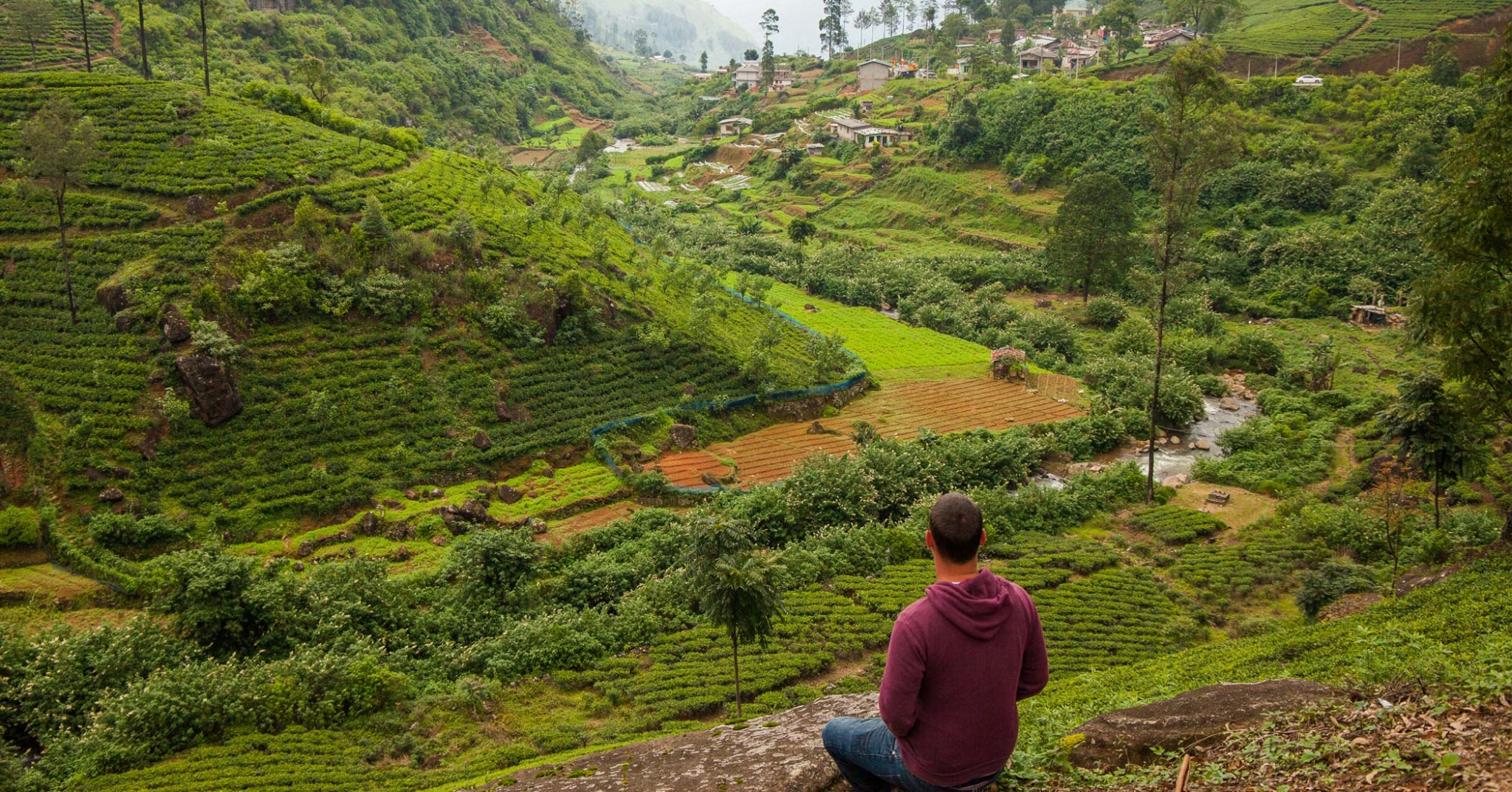 Sri Lanka Tea Plantations