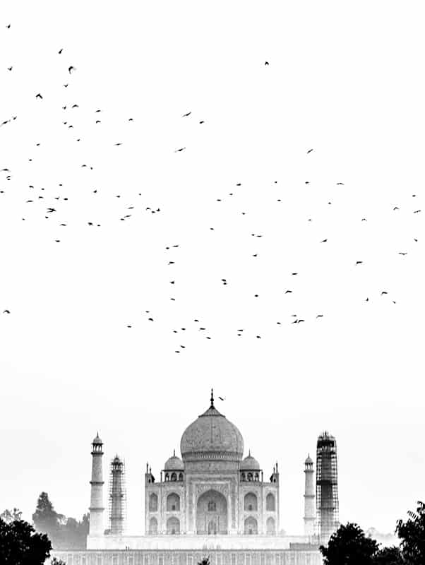 Taj Mahal Photography Tips