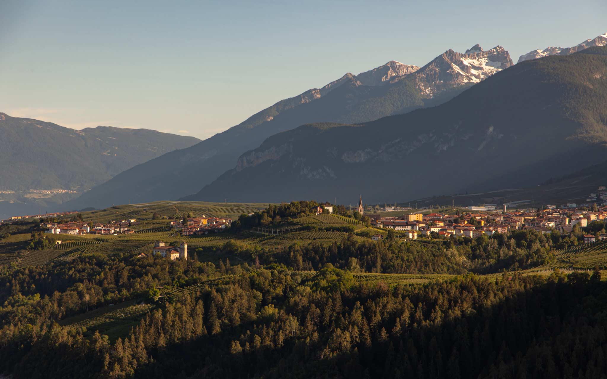 Rows and rows of apples flanked by beautiful mountains