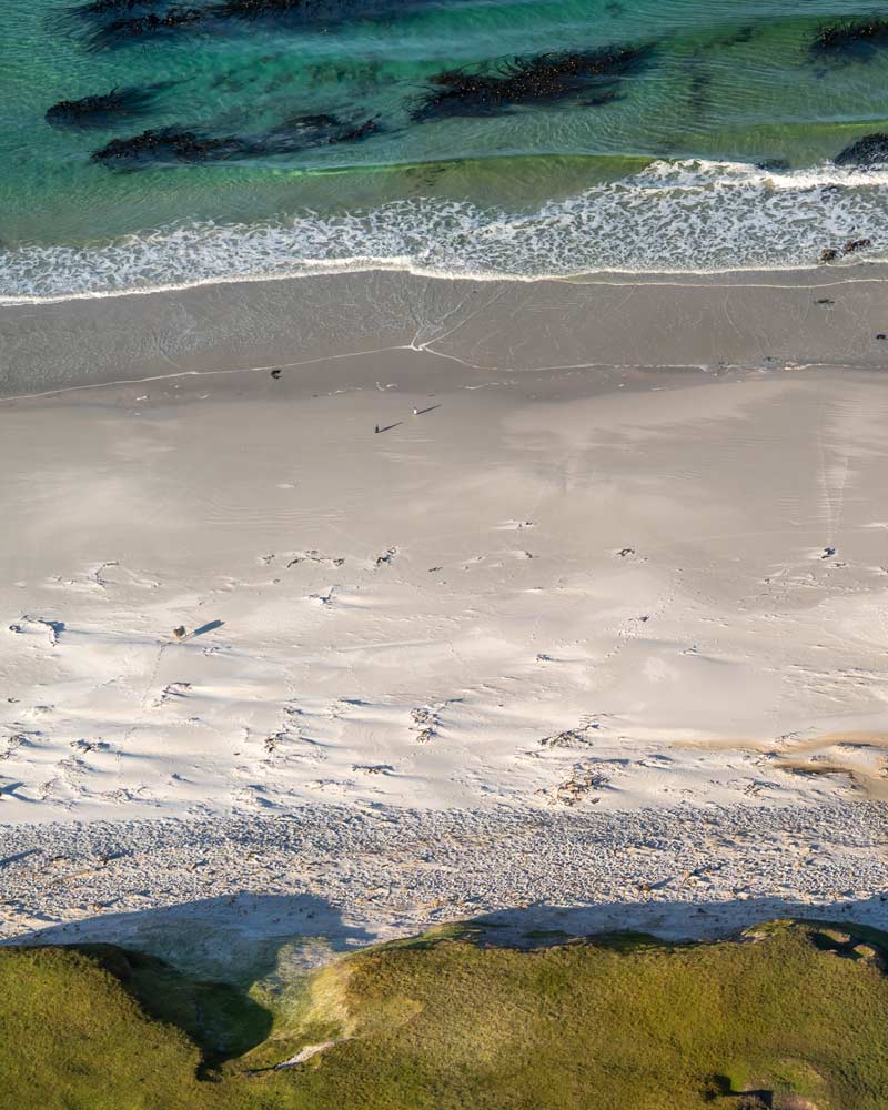 Two penguins stand on a near-empty beach