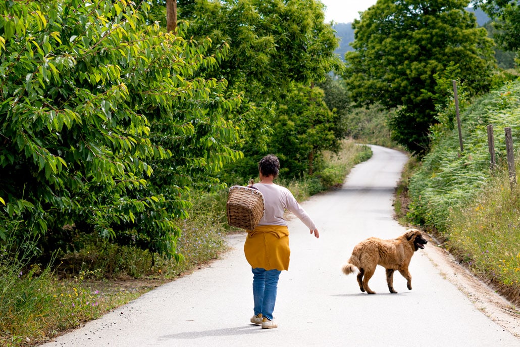 Ana Martins of Quinta de São Macário leads the way with the typical cesta (basket)