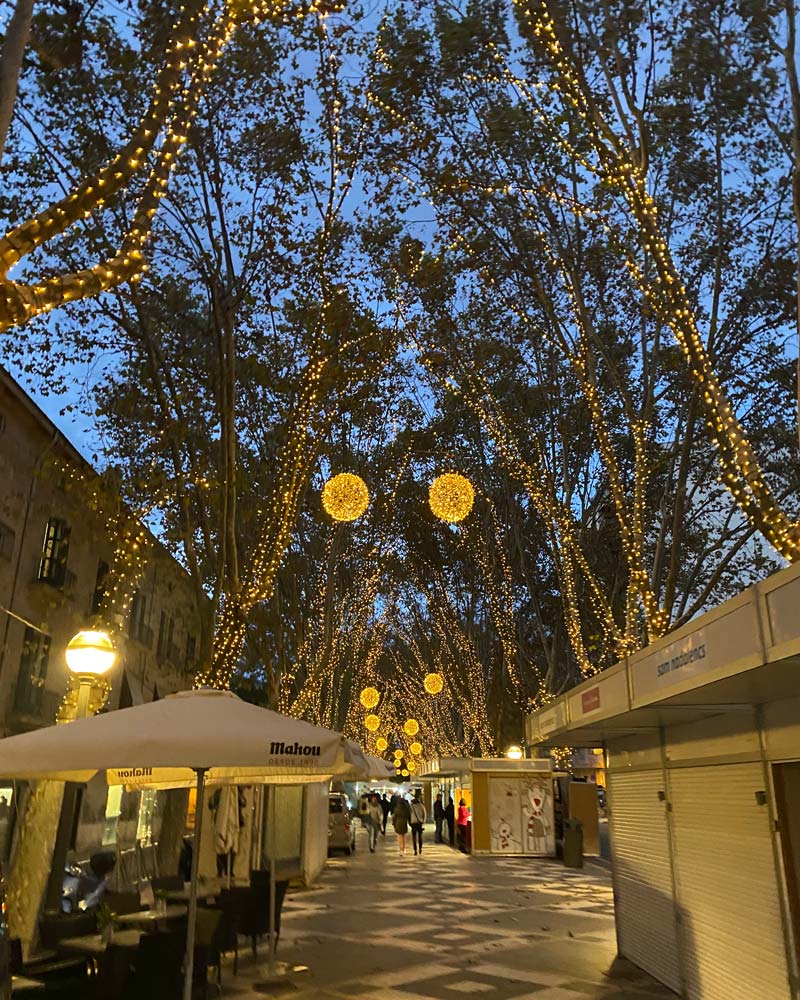 Palma at Christmas