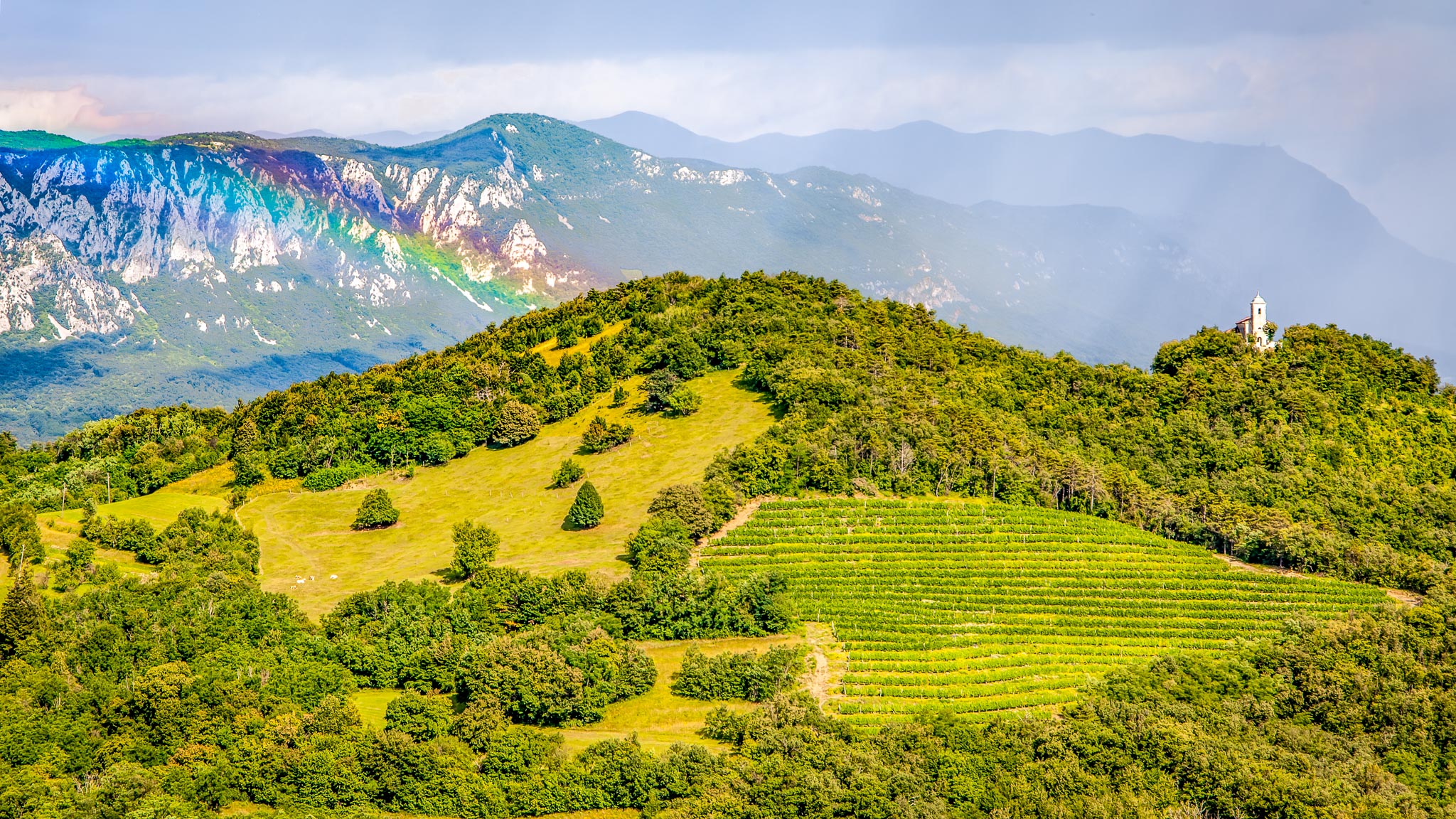 Vipava valley Slovenia