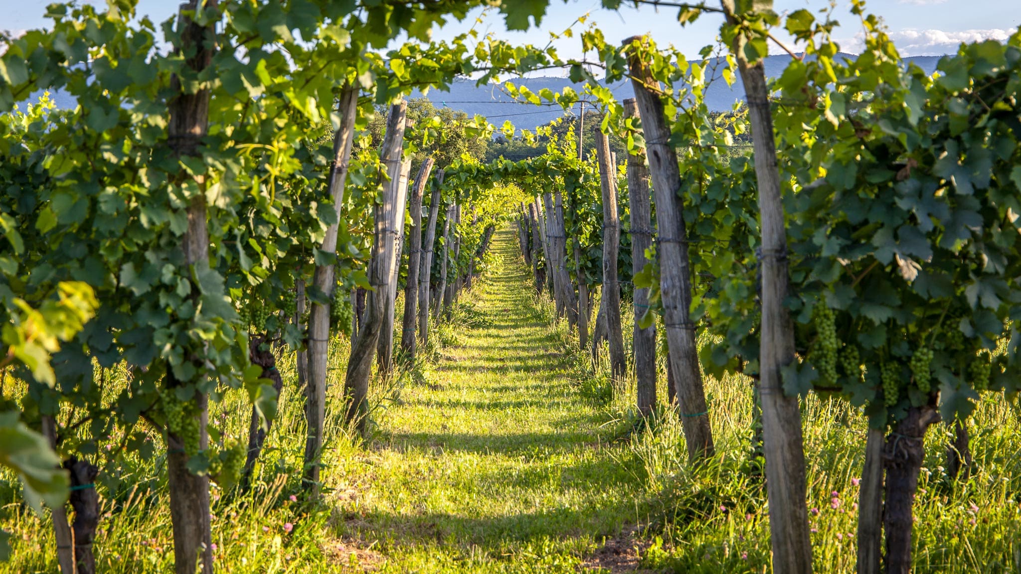 Vipava Valley Slovenia